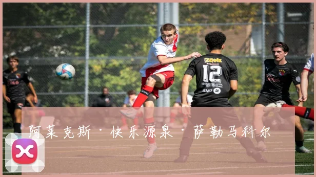 阿莱克斯·快乐源泉·萨勒马科尔斯